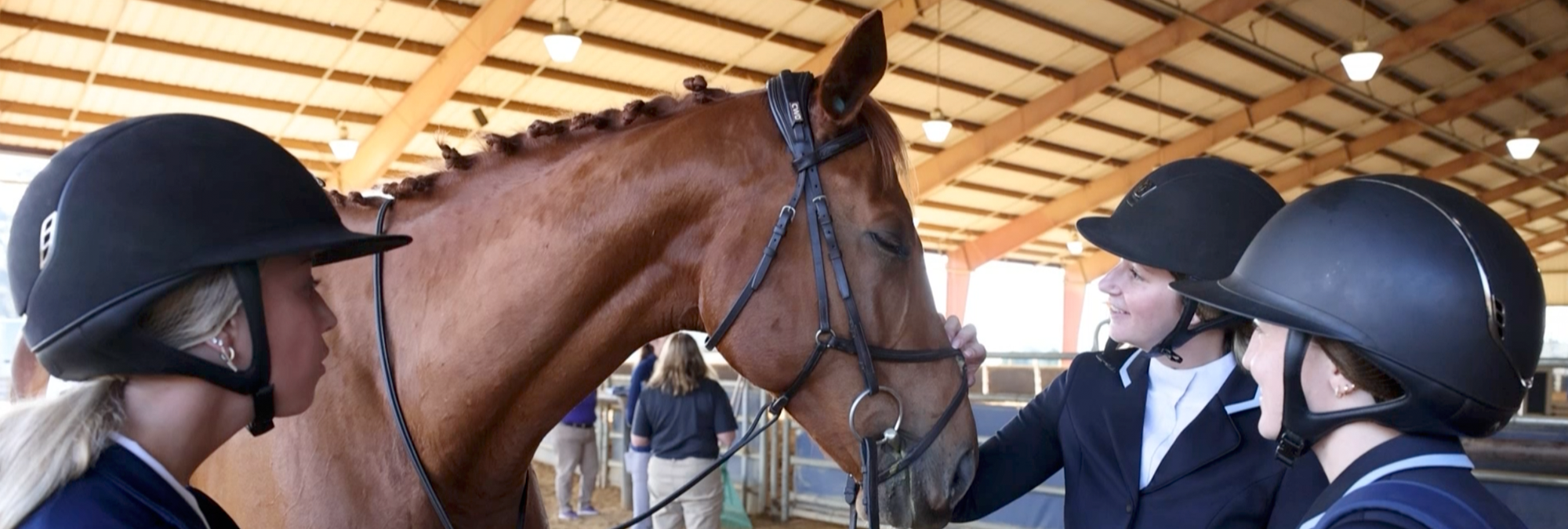 Three equestrian riders wearing riding helmets and show attire stand beside a chestnut horse inside a covered riding arena. One rider gently holds the horse's bridle while the others gather nearby, with stable facilities and additional people visible in the background.