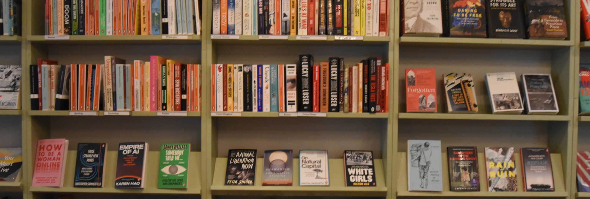 Shelves filled with books line the wall of a bookstore, displaying a mix of fiction, nonfiction, and contemporary titles. Books are arranged upright and face-out across several rows of light-colored shelving, creating a colorful pattern of spines and covers. Visible featured titles include How to Be a Woman Online, Empire of AI, Animal Liberation Now, Natural Capital, White Girls, and Rain and Ruin. Small category labels appear along the shelves, and warm indoor lighting highlights the dense collection of books and the organized retail display.